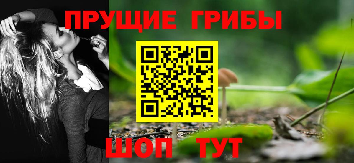 Псилоцибиновые грибы ЛСД Слободской